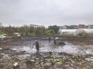 睢宁河道鱼塘清淤